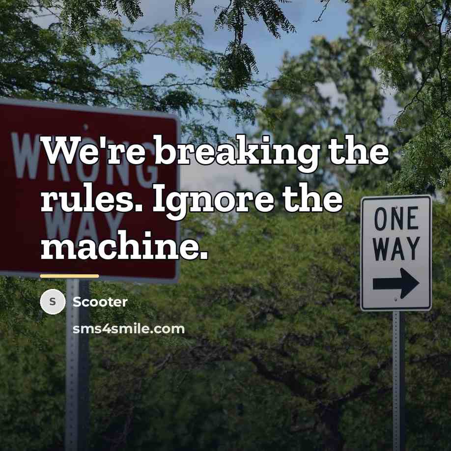 “We're breaking the rules. Ignore the machine.…” quote by Scooter