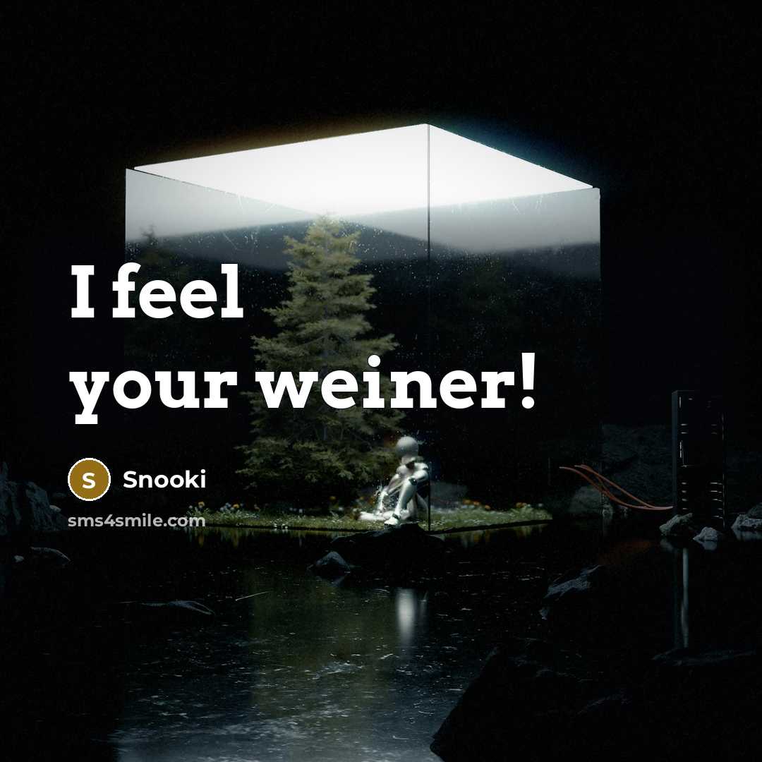“I feel your weiner!…” quote by Snooki