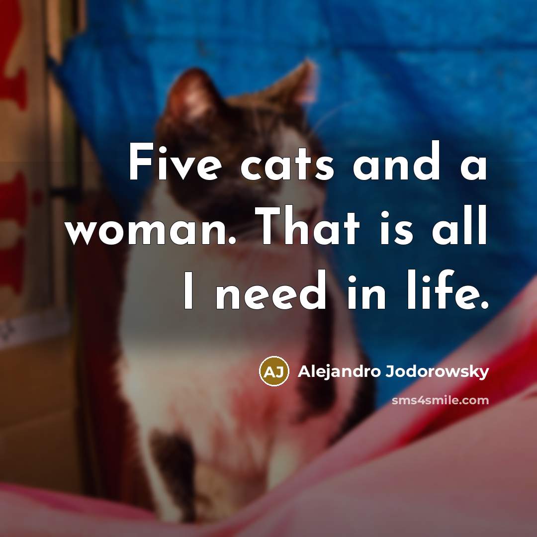 “Five cats and a woman. That is all I need…” quote by Alejandro Jodorowsky