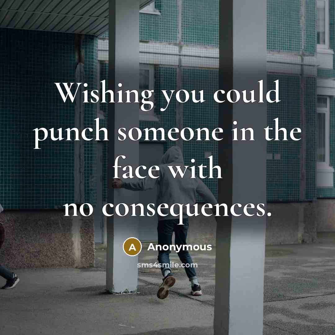 “Wishing you could punch someone in the face with no consequences.” quote by Anonymous