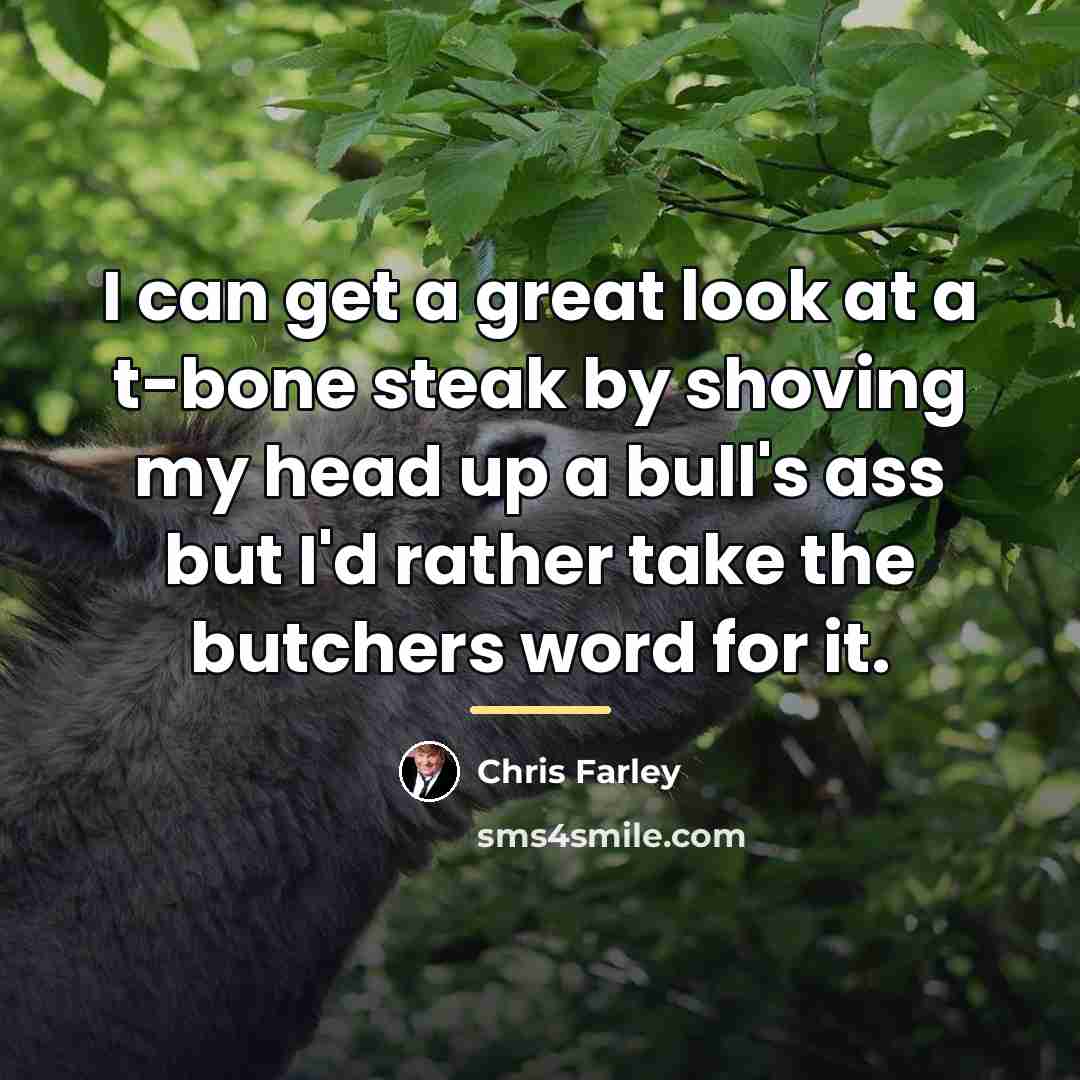 “I can get a great look at a t-bone steak…” quote by Chris Farley