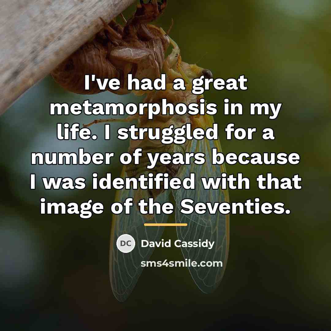 “I've had a great metamorphosis in my life. I struggled…” quote by David Cassidy