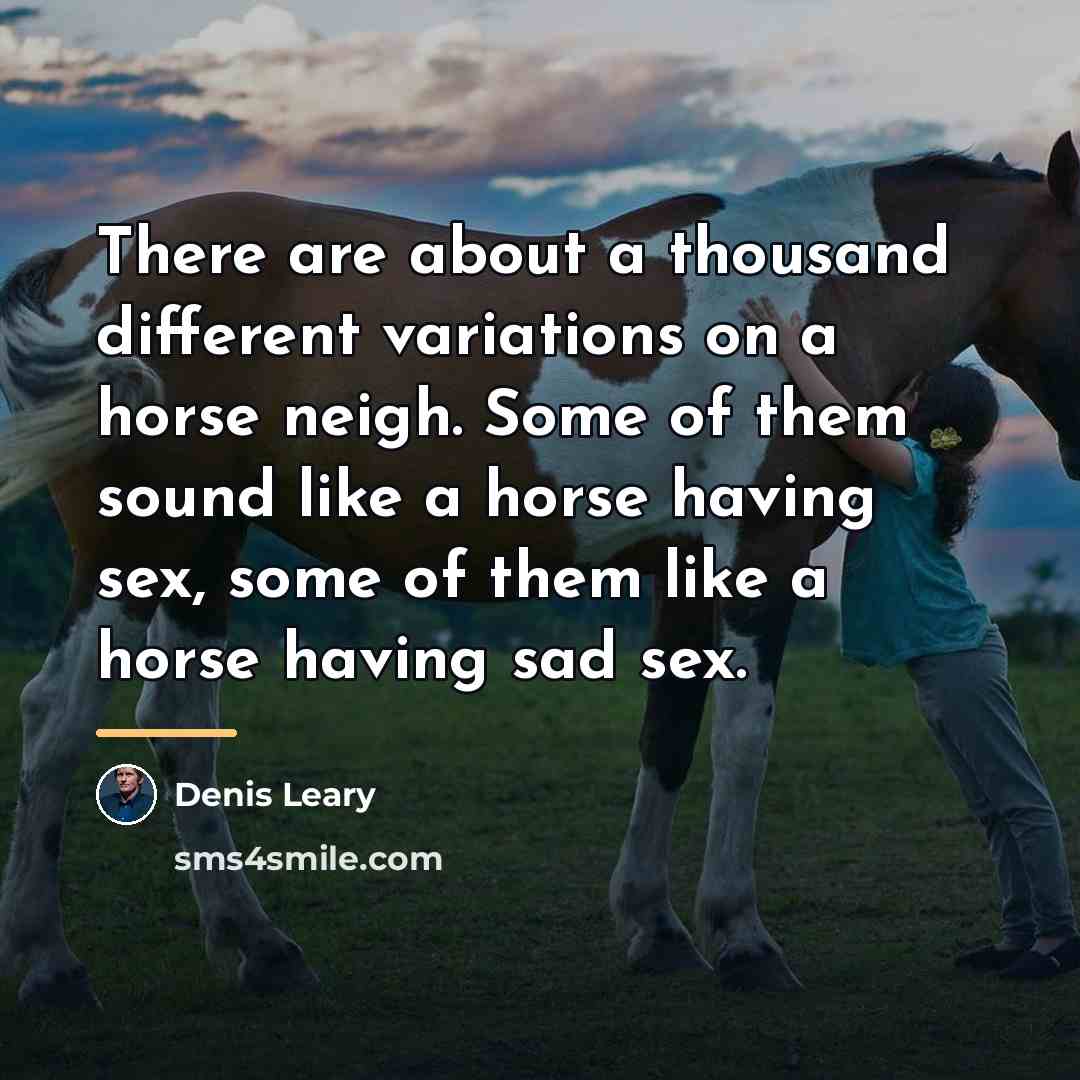 “There are about a thousand different variations on a horse…” quote by Denis Leary