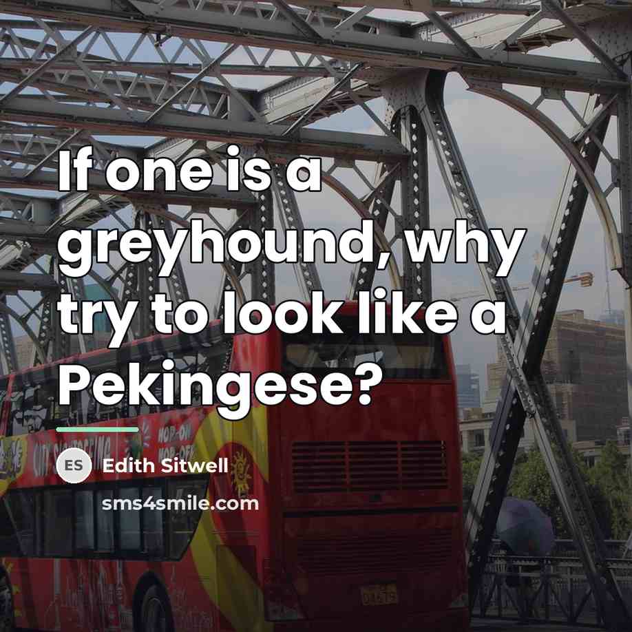 “If one is a greyhound, why try to look like…” quote by Edith Sitwell