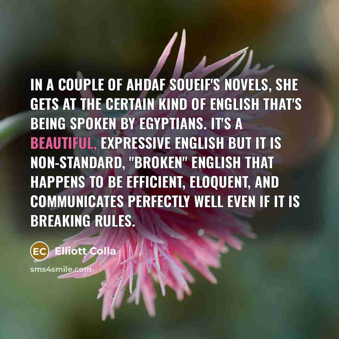 “In a couple of Ahdaf Soueif's novels, she gets at…” quote by Elliott Colla