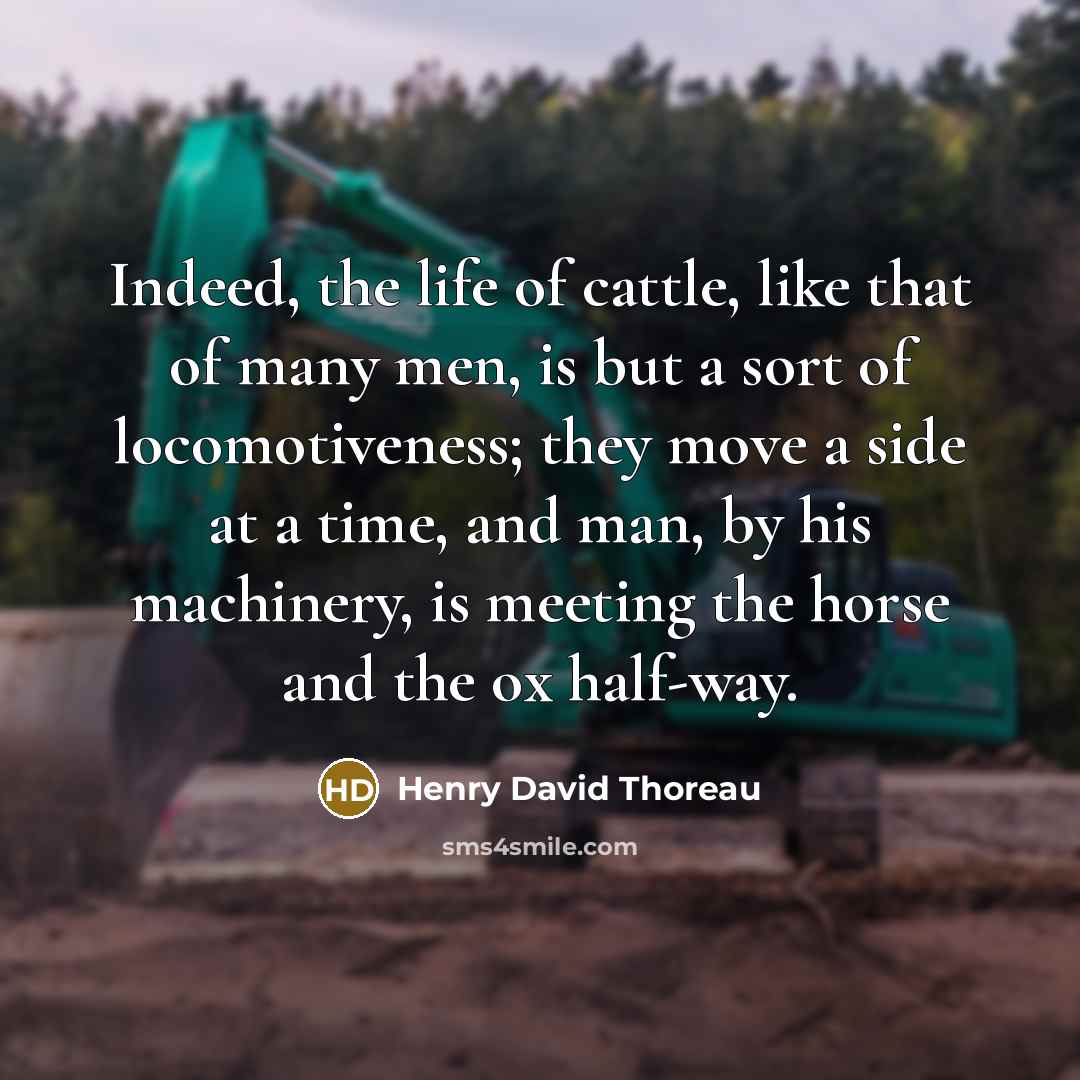 “Indeed, the life of cattle, like that of many men,…” quote by Henry David Thoreau