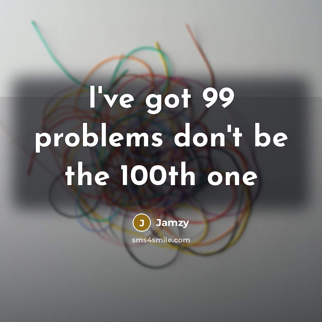 “I've got 99 problems don't be the 100th one” quote by Jamzy