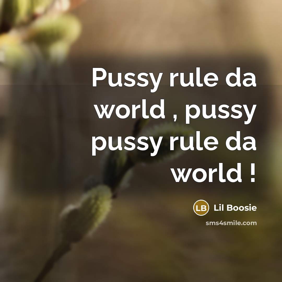 “Pussy rule da world , pussy pussy rule da world !” quote by Lil Boosie