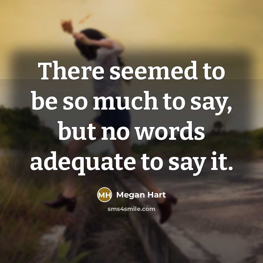 “There seemed to be so much to say, but no…” quote by Megan Hart
