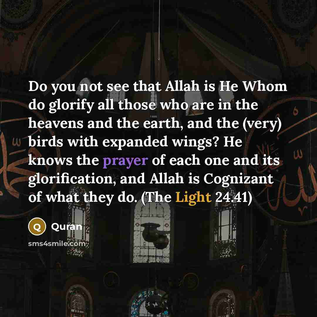 “Do you not see that Allah is He Whom do…” quote by Quran