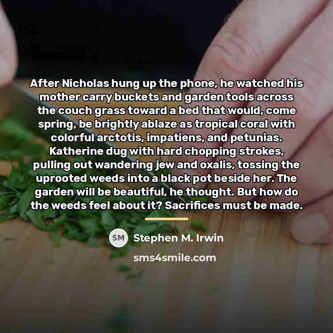 “After Nicholas hung up the phone, he watched his mother…” quote by Stephen M. Irwin