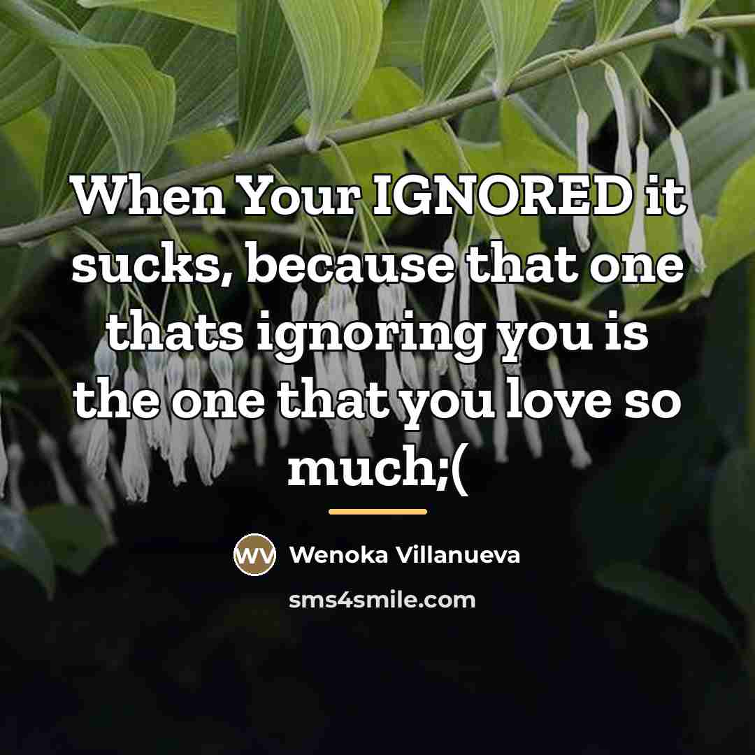 “When Your IGNORED it sucks, because that one thats ignoring…” quote by Wenoka Villanueva