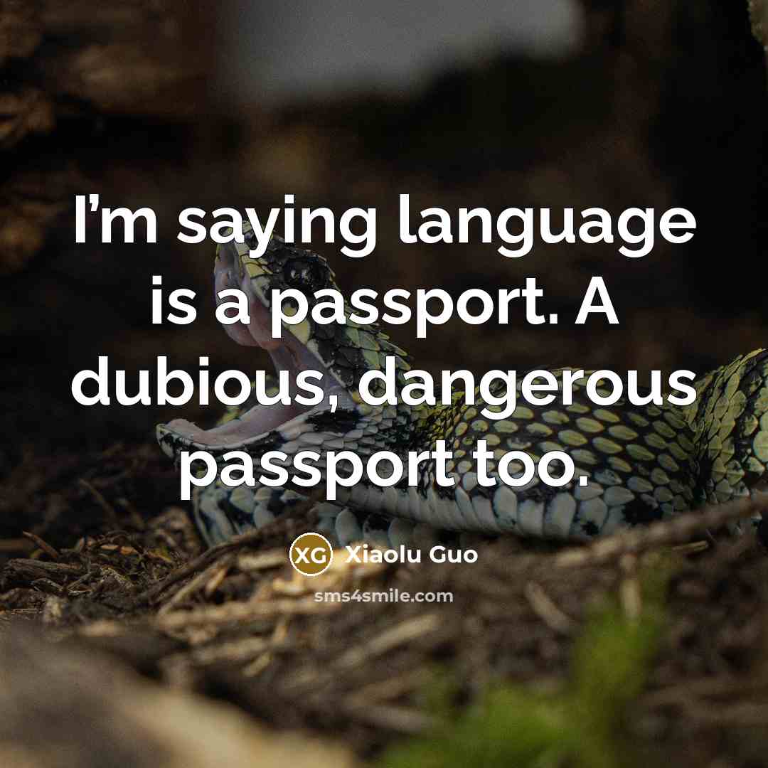 “I’m saying language is a passport. A dubious, dangerous passport…” quote by Xiaolu Guo