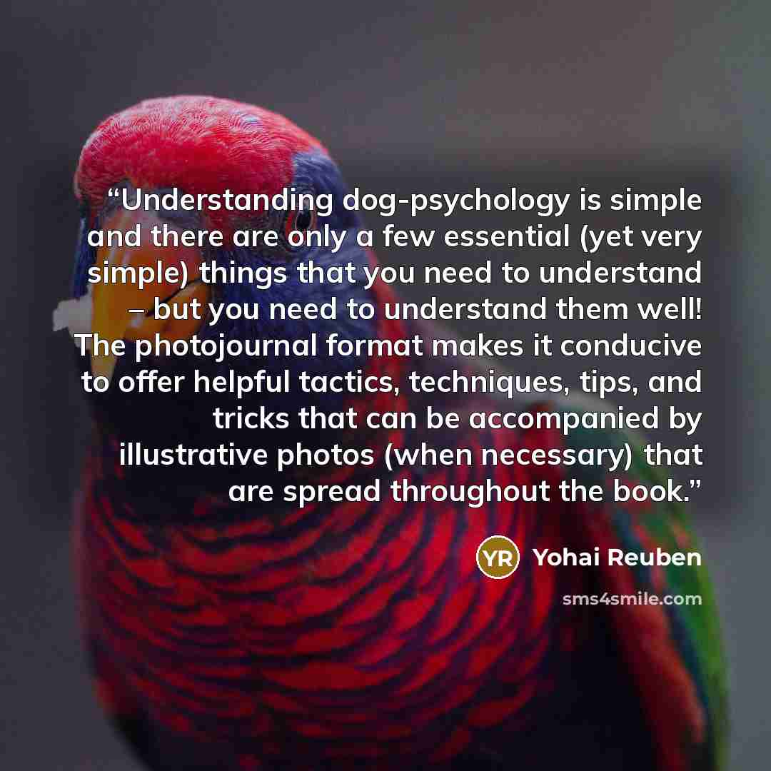 “Understanding dog-psychology is simple and there are only a few essential (yet very simple) things that you need to understand – but you need to understand them well! The photojournal format makes it conducive to offer helpful tactics, techniques, tips, and tricks that can be accompanied by…” quote by Yohai Reuben