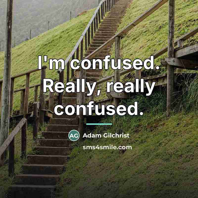 “I'm confused. Really, really confused.…” quote by Adam Gilchrist