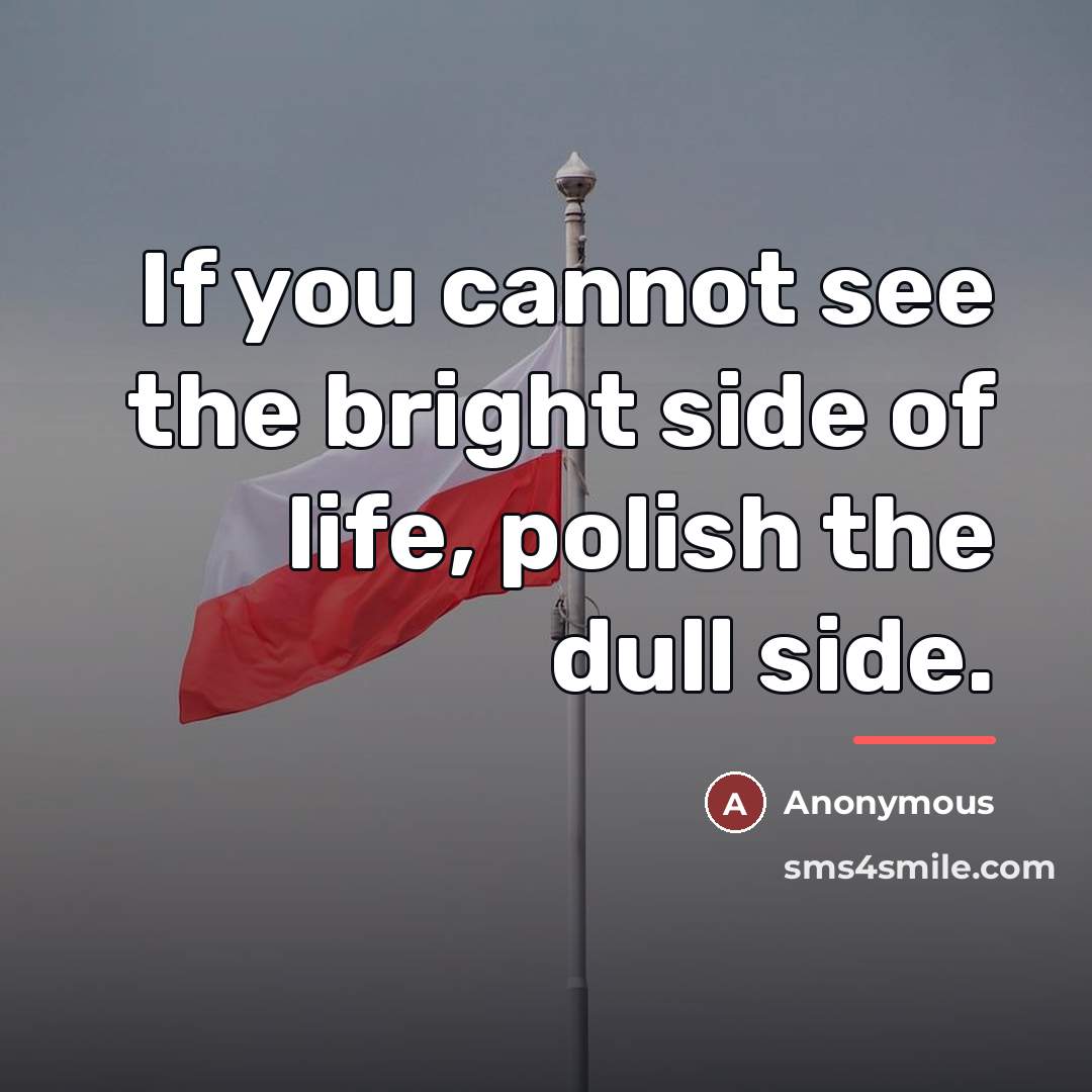 “If you cannot see the bright side of life, polish…” quote by Anonymous