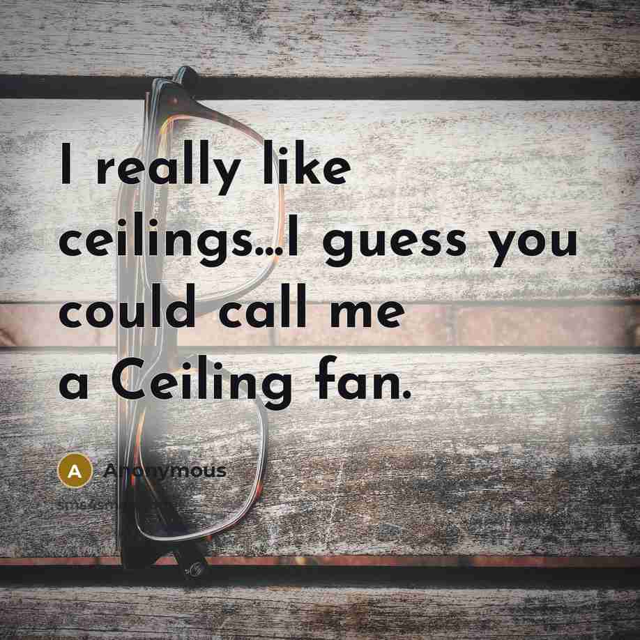 “I really like ceilings...I guess you could call me a Ceiling fan.” quote by Anonymous