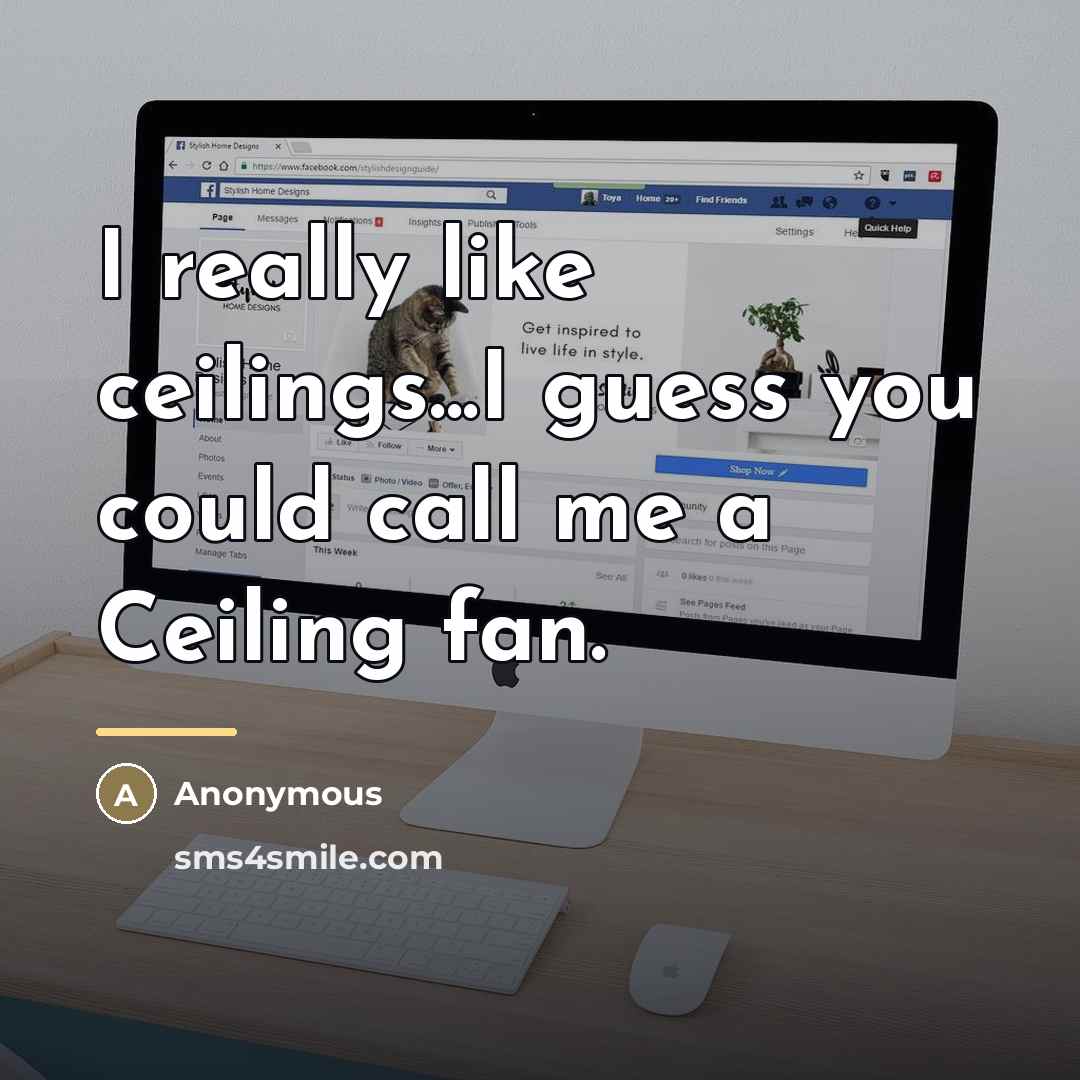 “I really like ceilings...I guess you could call me a…” quote by Anonymous
