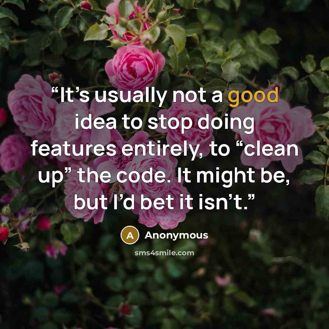 “It’s usually not a good idea to stop doing features entirely, to “clean up” the code. It might be, but I’d bet it isn’t.” quote by Anonymous