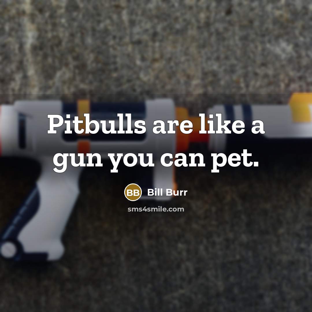 “Pitbulls are like a gun you can pet.…” quote by Bill Burr