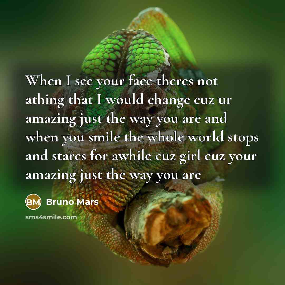 “When I see your face theres not athing that I…” quote by Bruno Mars