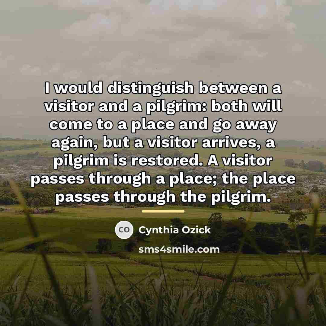 “I would distinguish between a visitor and a pilgrim: both…” quote by Cynthia Ozick