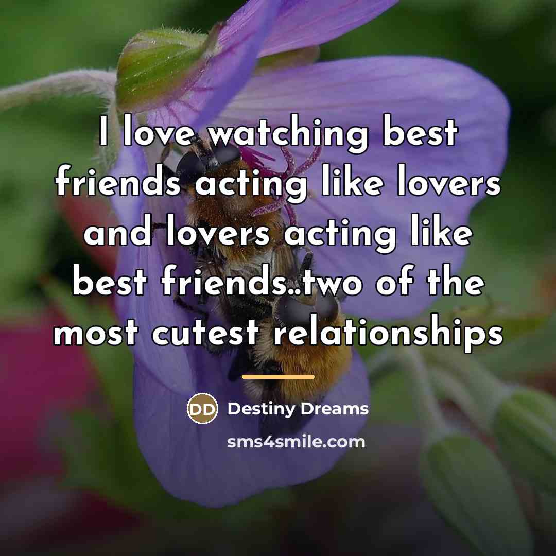 “I love watching best friends acting like lovers and lovers…” quote by Destiny Dreams