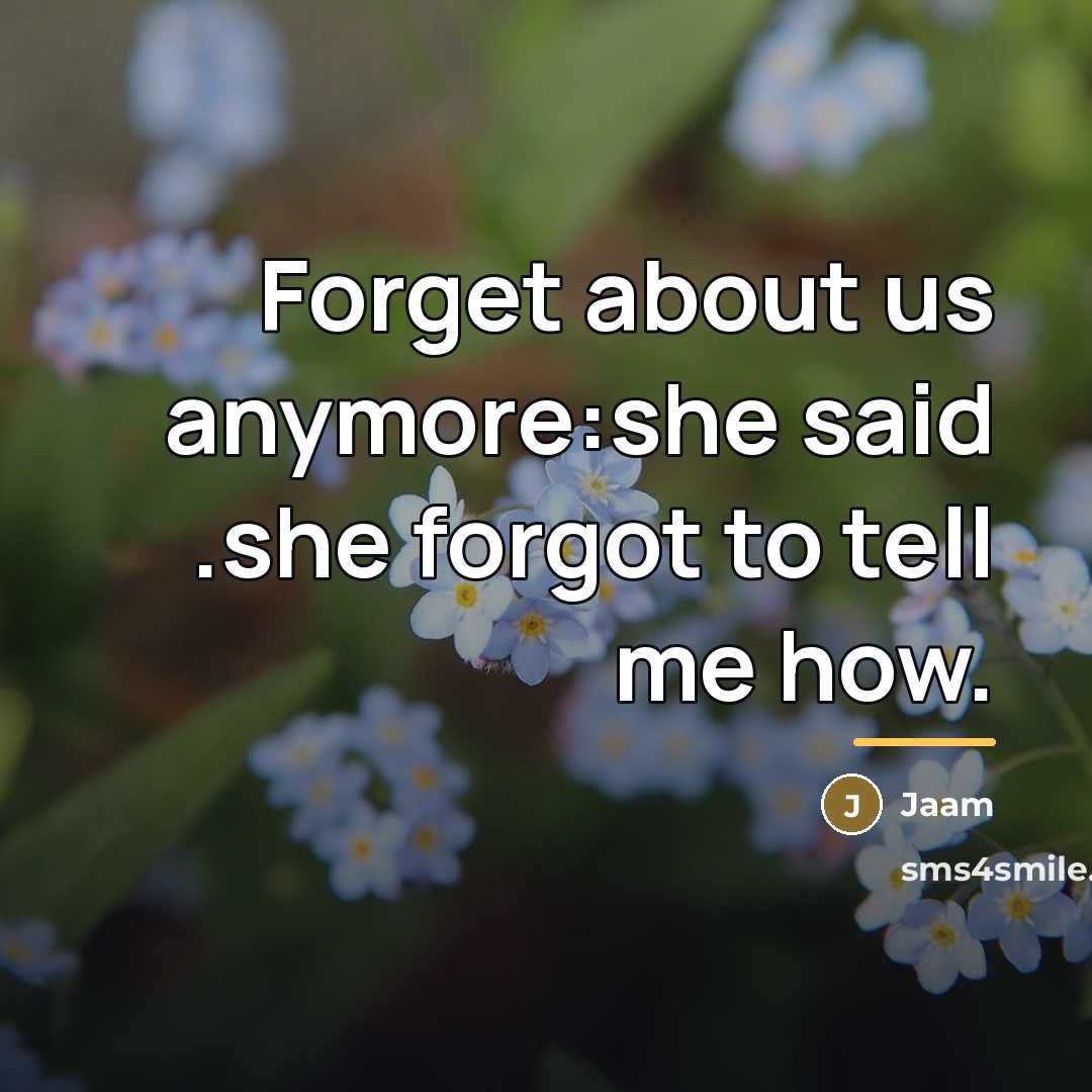 “Forget about us anymore:she said .she forgot to tell me…” quote by Jaam
