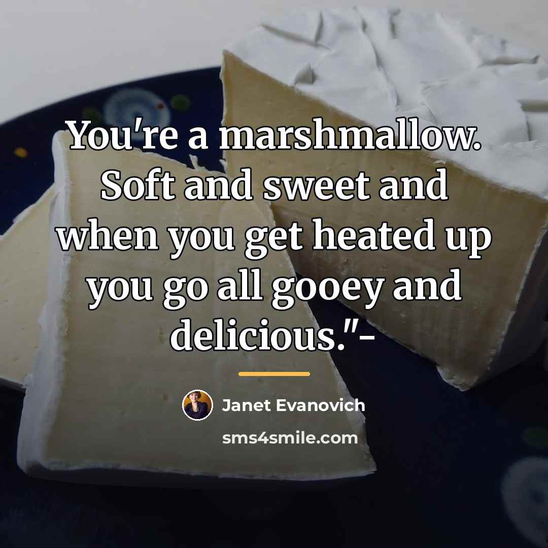 “You're a marshmallow. Soft and sweet and when you get…” quote by Janet Evanovich