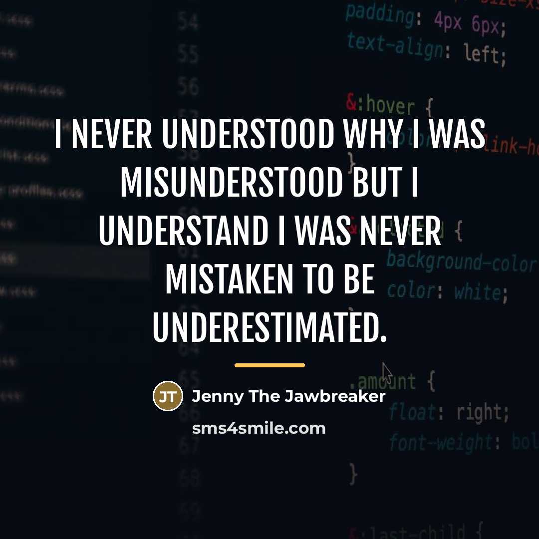 “I never understood why I was misunderstood but I understand…” quote by Jenny The Jawbreaker