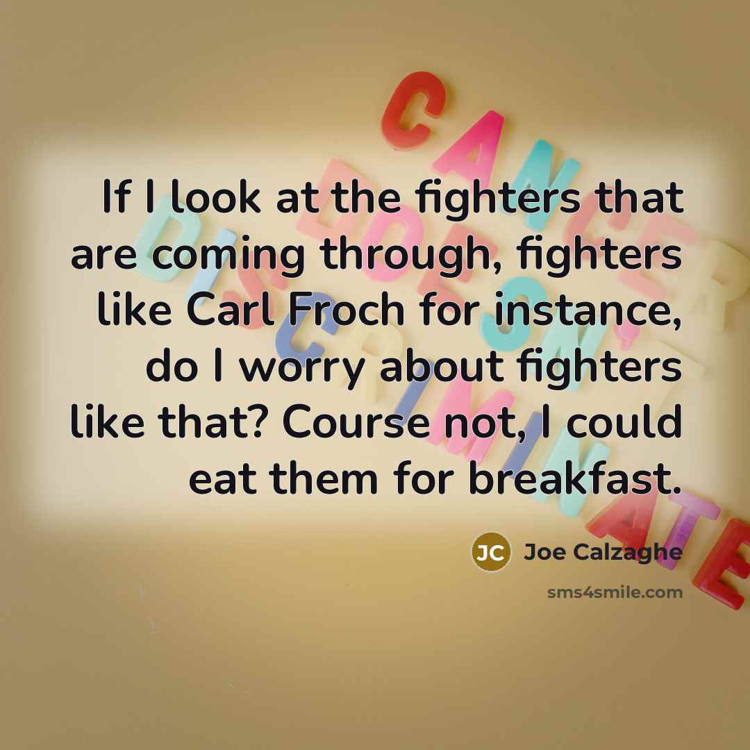 “If I look at the fighters that are coming through,…” quote by Joe Calzaghe