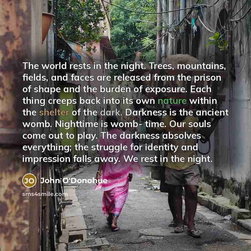 “The world rests in the night. Trees, mountains, fields, and…” quote by John O'Donohue