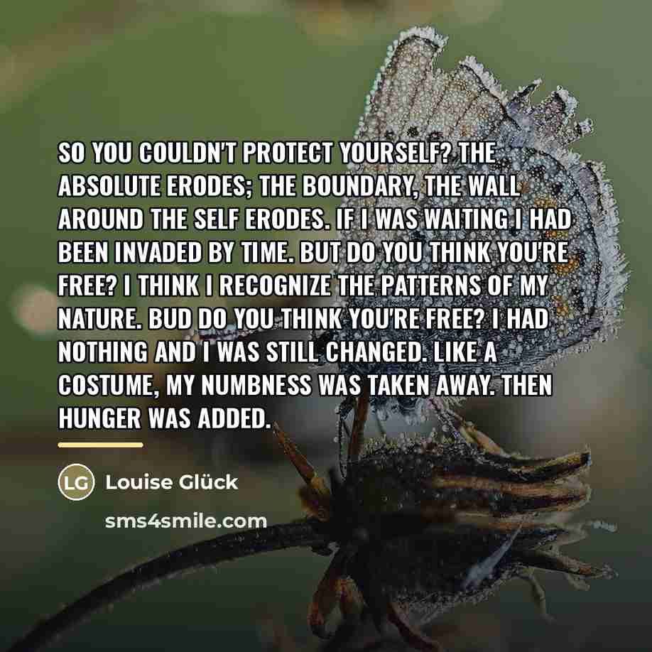 “So you couldn't protect yourself? The absolute erodes; the boundary,…” quote by Louise Glück