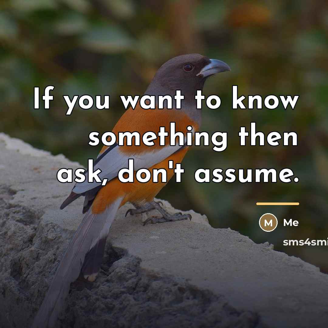 “If you want to know something then ask, don't assume.…” quote by Me