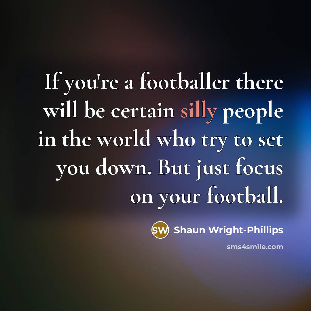 “If you're a footballer there will be certain silly people…” quote by Shaun Wright-Phillips