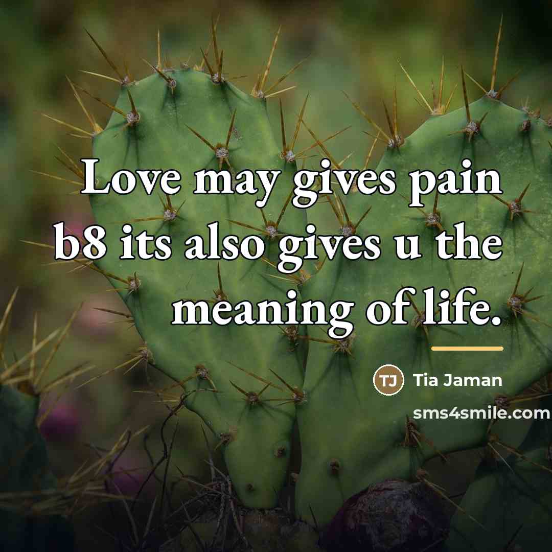 “Love may gives pain b8 its also gives u the…” quote by Tia Jaman
