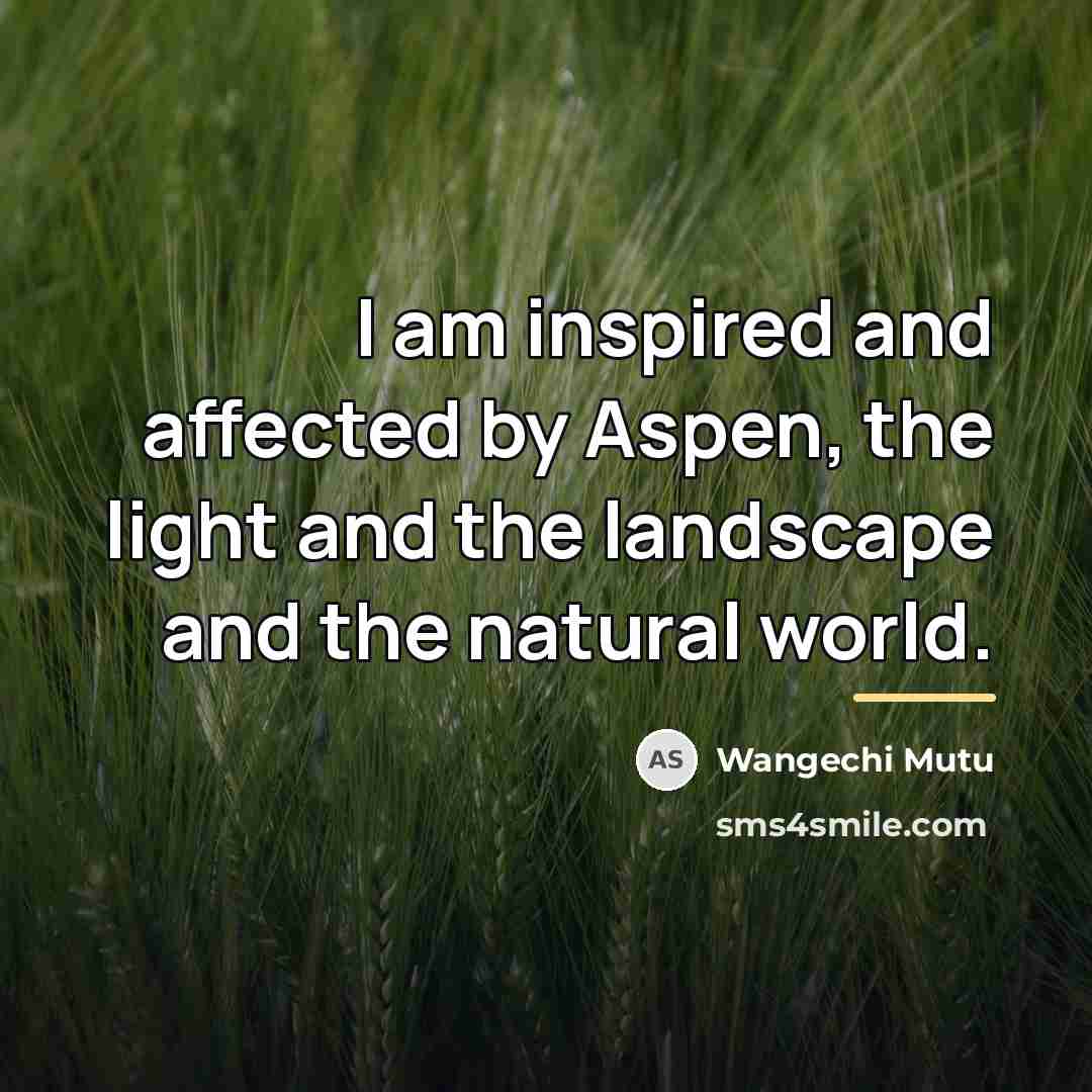 “I am inspired and affected by Aspen, the light and…” quote by Wangechi Mutu