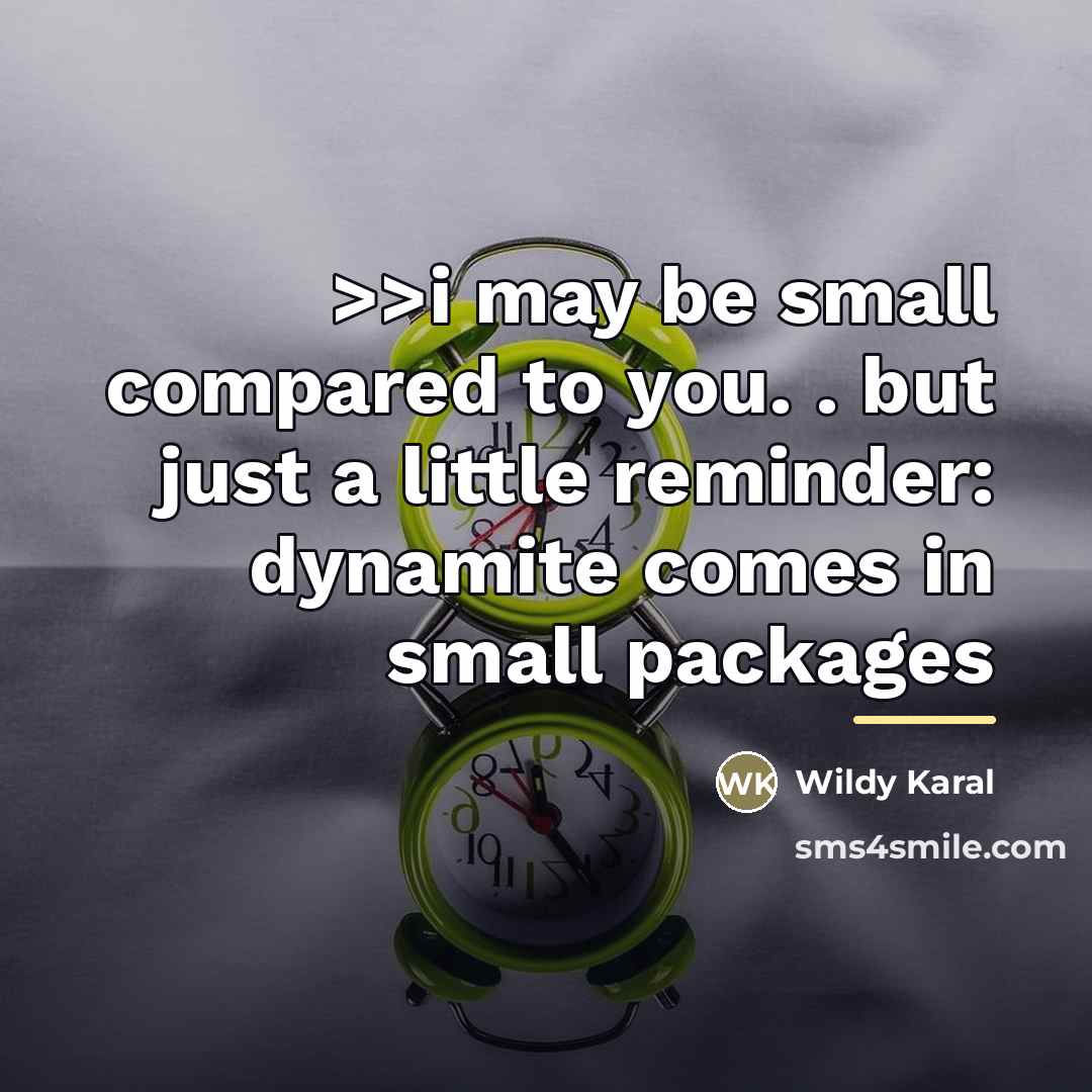 “>>i may be small compared to you. . but just…” quote by Wildy Karal