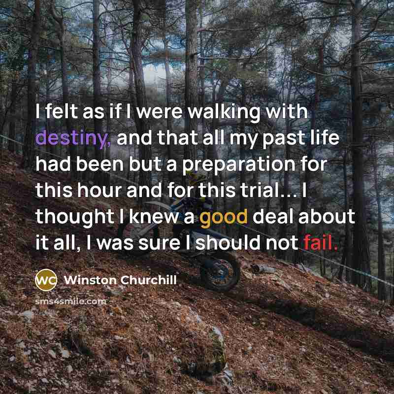 “I felt as if I were walking with destiny, and…” quote by Winston Churchill