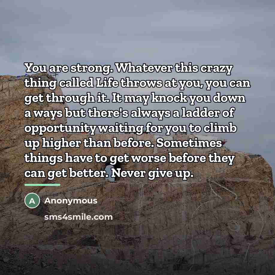“You are strong. Whatever this crazy thing called Life throws…” quote by Anonymous
