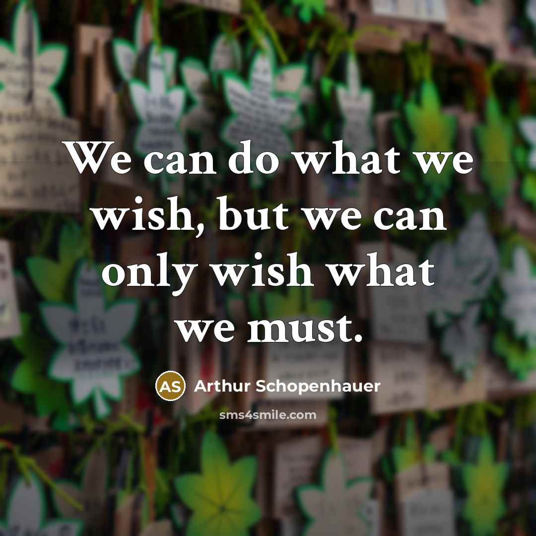 “We can do what we wish, but we can only…” quote by Arthur Schopenhauer