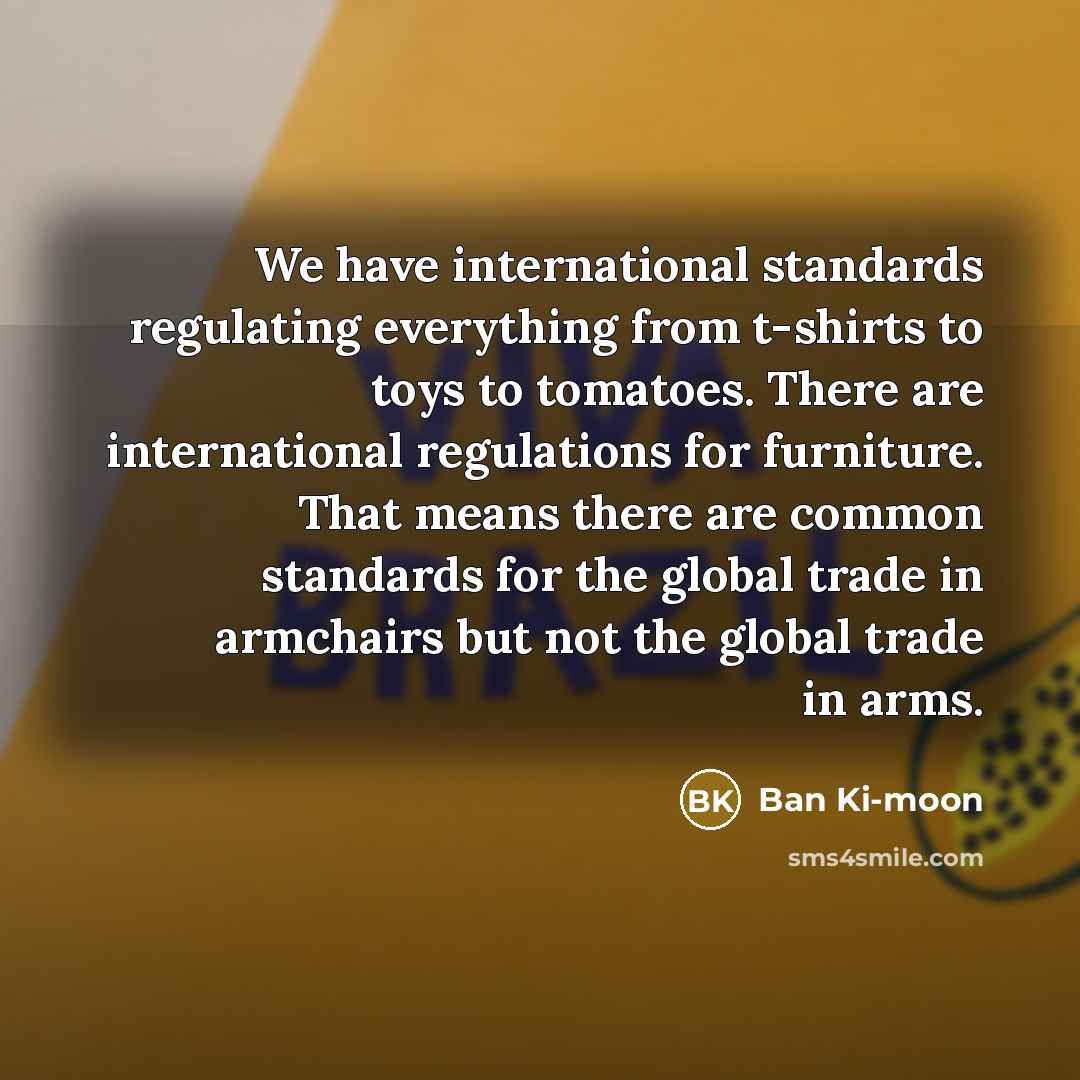 “We have international standards regulating everything from t-shirts to toys…” quote by Ban Ki-moon