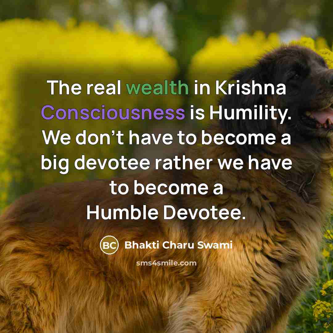 “The real wealth in Krishna Consciousness is Humility. We don't…” quote by Bhakti Charu Swami