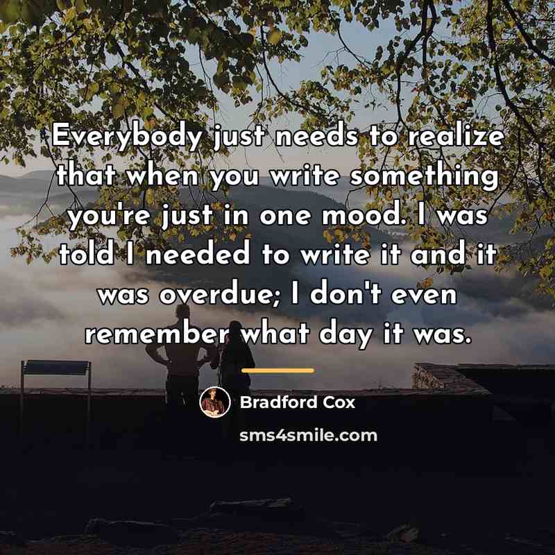 “Everybody just needs to realize that when you write something…” quote by Bradford Cox