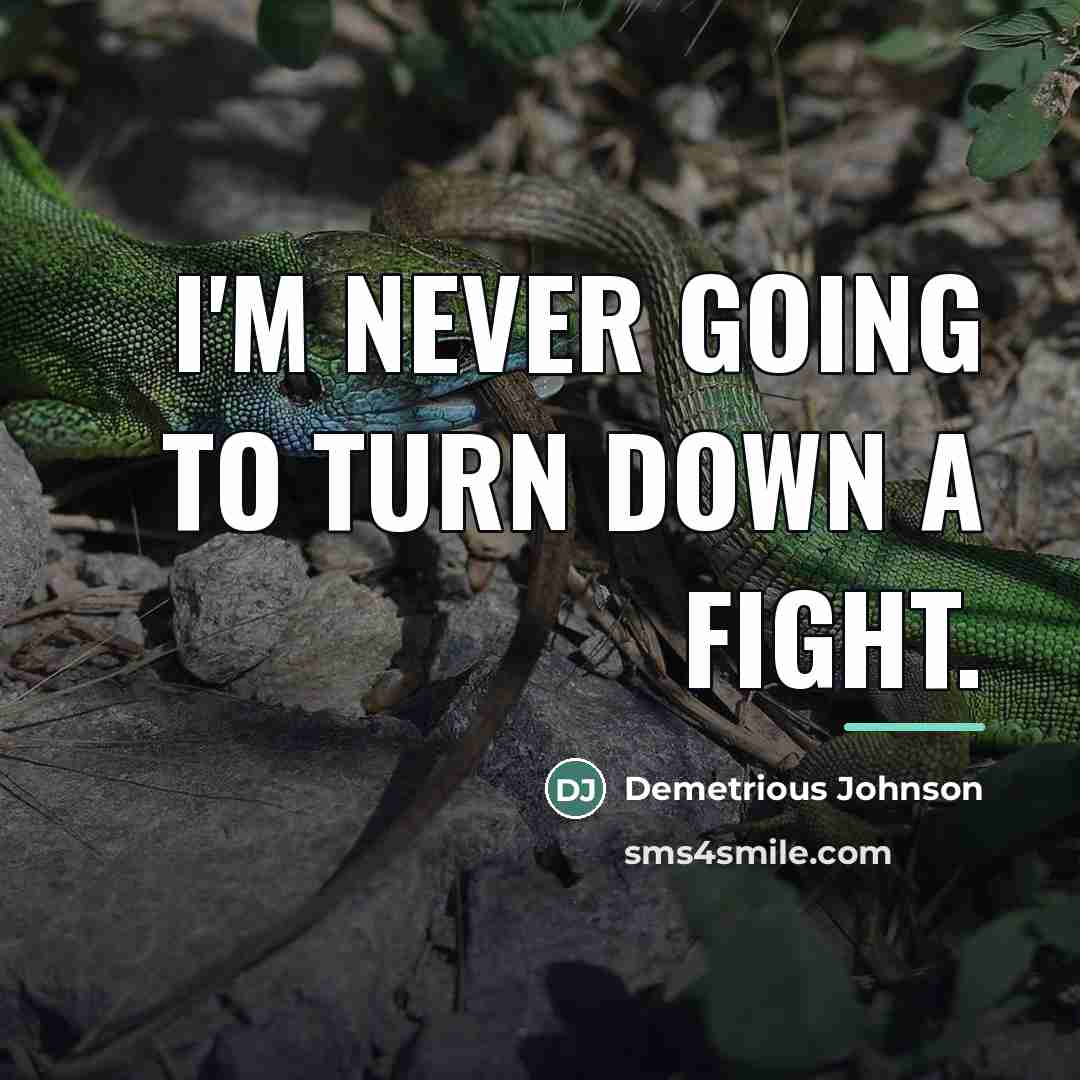 “I'm never going to turn down a fight.…” quote by Demetrious Johnson