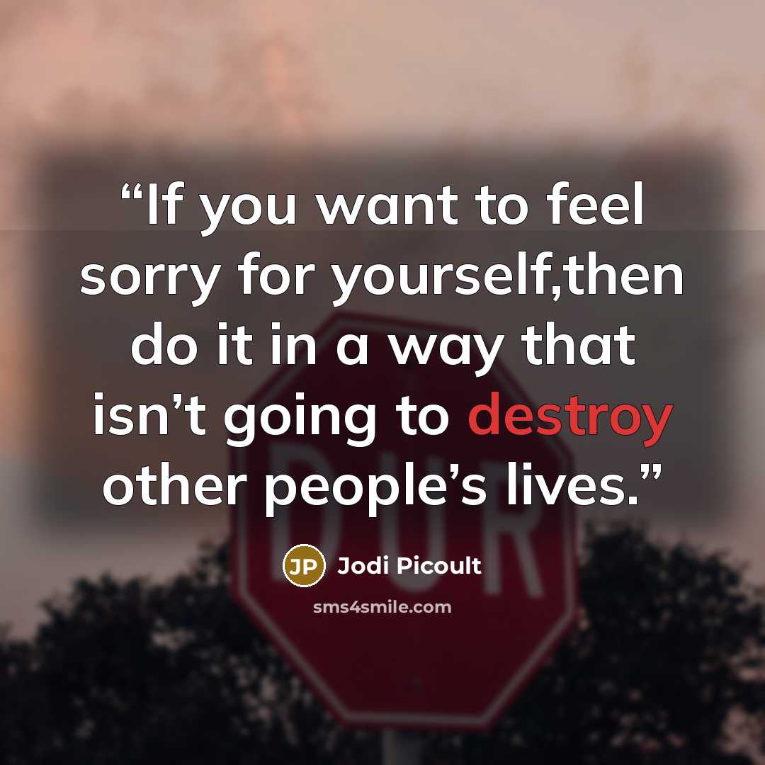 “If you want to feel sorry for yourself,then do it in a way that isn’t going to destroy other people’s lives.” quote by Jodi Picoult