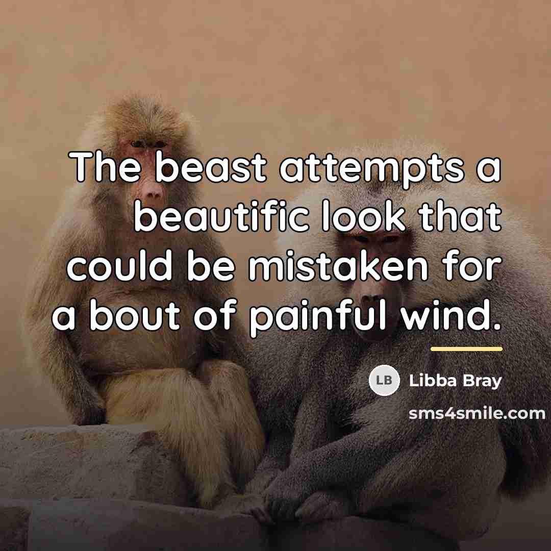 “The beast attempts a beautific look that could be mistaken…” quote by Libba Bray
