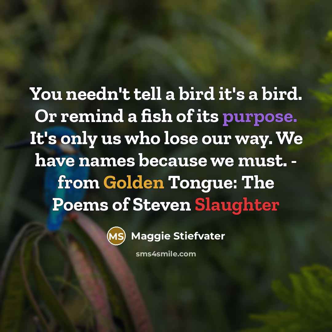 “You needn't tell a bird it's a bird. Or remind…” quote by Maggie Stiefvater