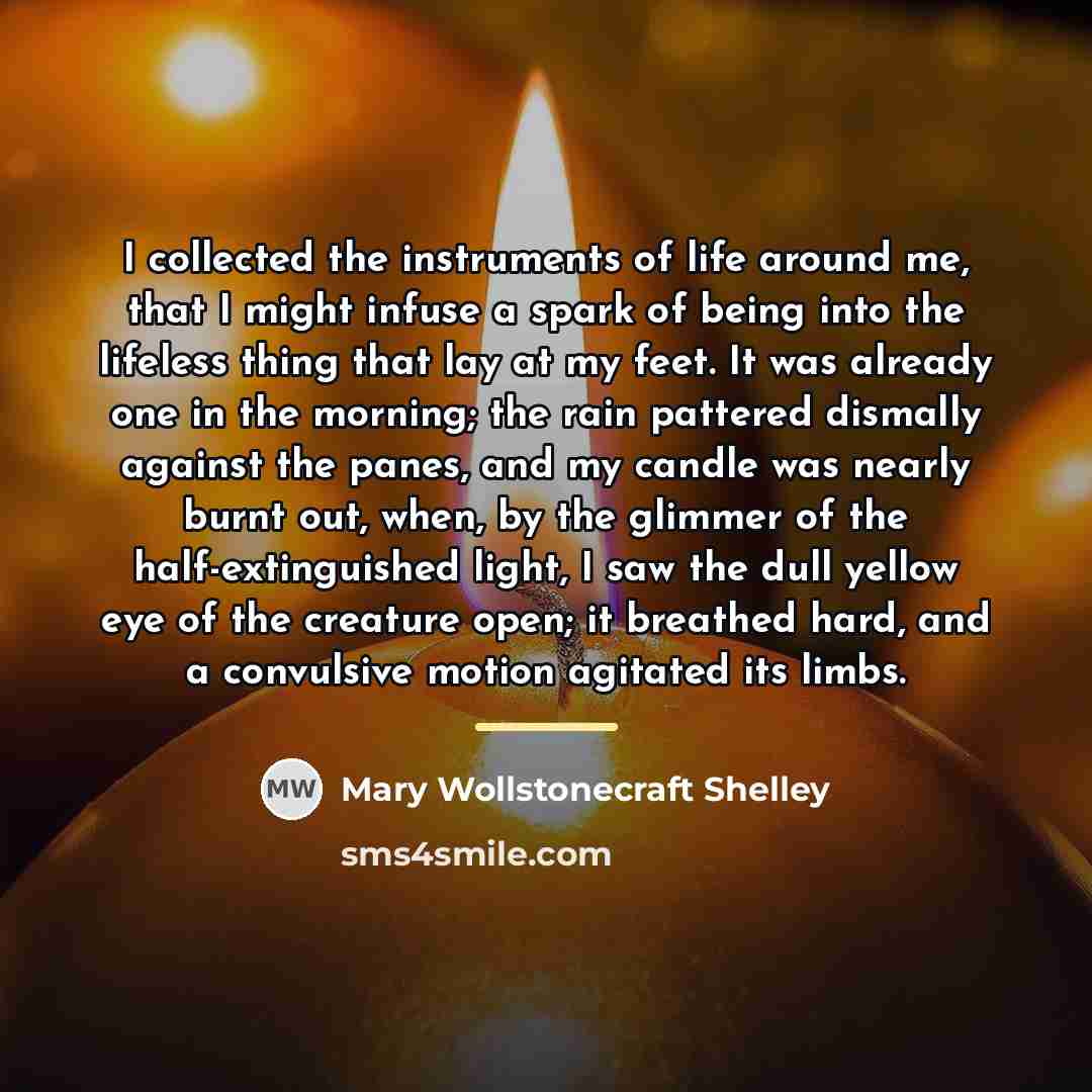 “I collected the instruments of life around me, that I…” quote by Mary Wollstonecraft Shelley