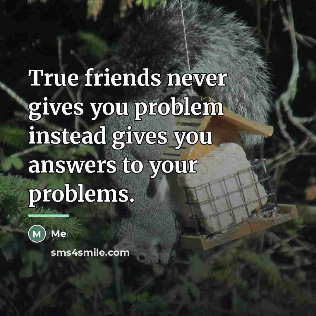 “True friends never gives you problem instead gives you answers…” quote by Me